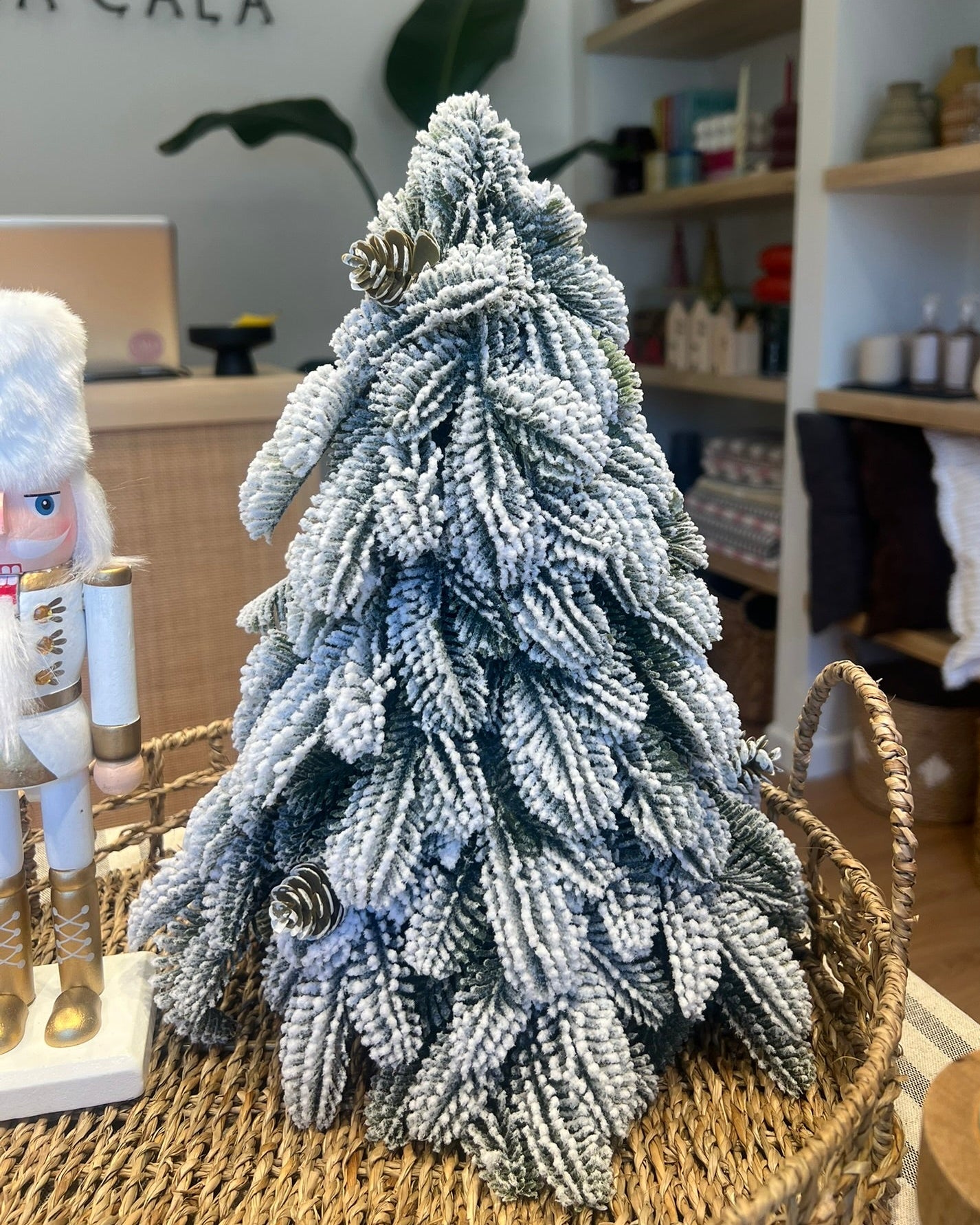 Pino nevado navideño