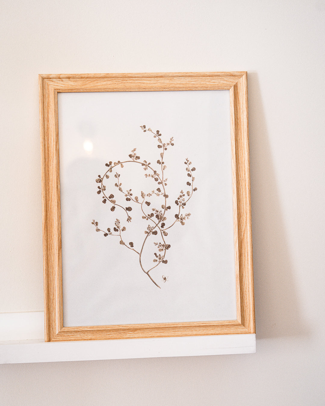 Set de 2 cuadros ramitas