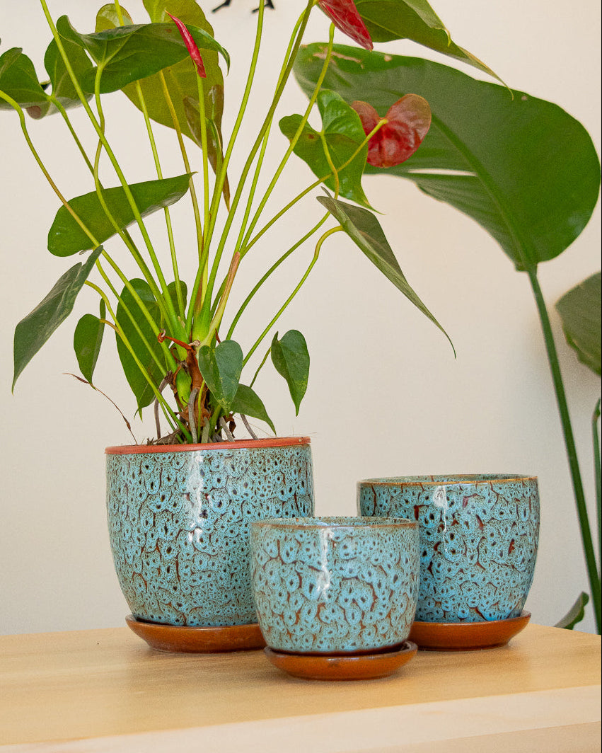 Set de 3 Macetas de Cerámica Esmaltada